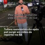 Cachorro perdido invade reportagem ao vivo da Globo e é reconhecido e resgatado por tutora