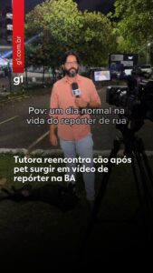 Cachorro perdido invade reportagem ao vivo da Globo e é reconhecido e resgatado por tutora