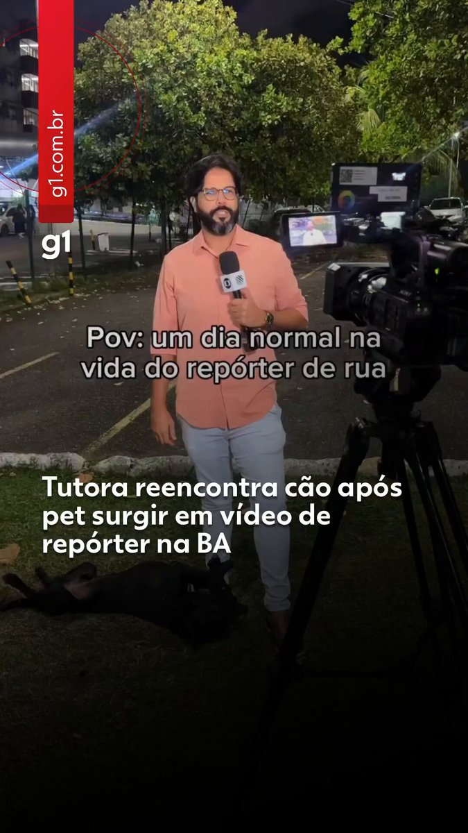 Cachorro perdido invade reportagem ao vivo da Globo e é reconhecido e resgatado por tutora