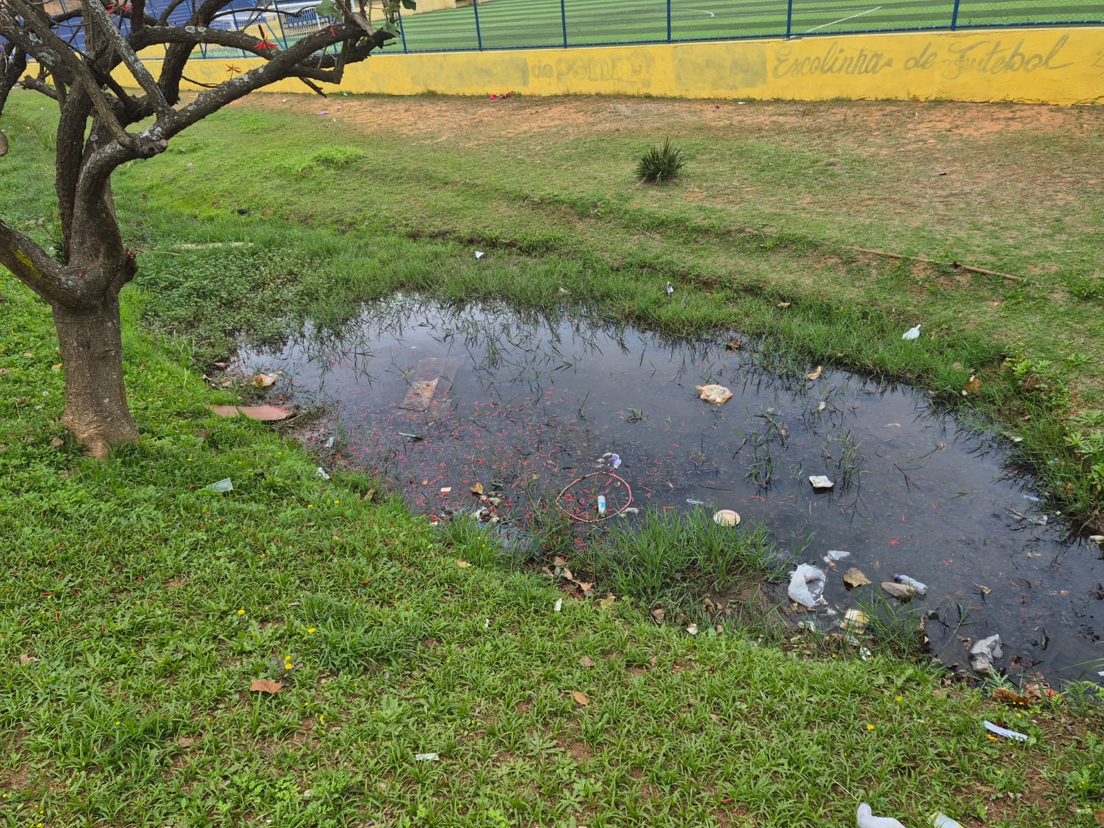 Área com mina d’água ao lado do campo do CRB gera polêmica