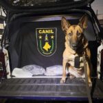 GCM apreende 4,2 kg de drogas no combate ao tráfico na cidade