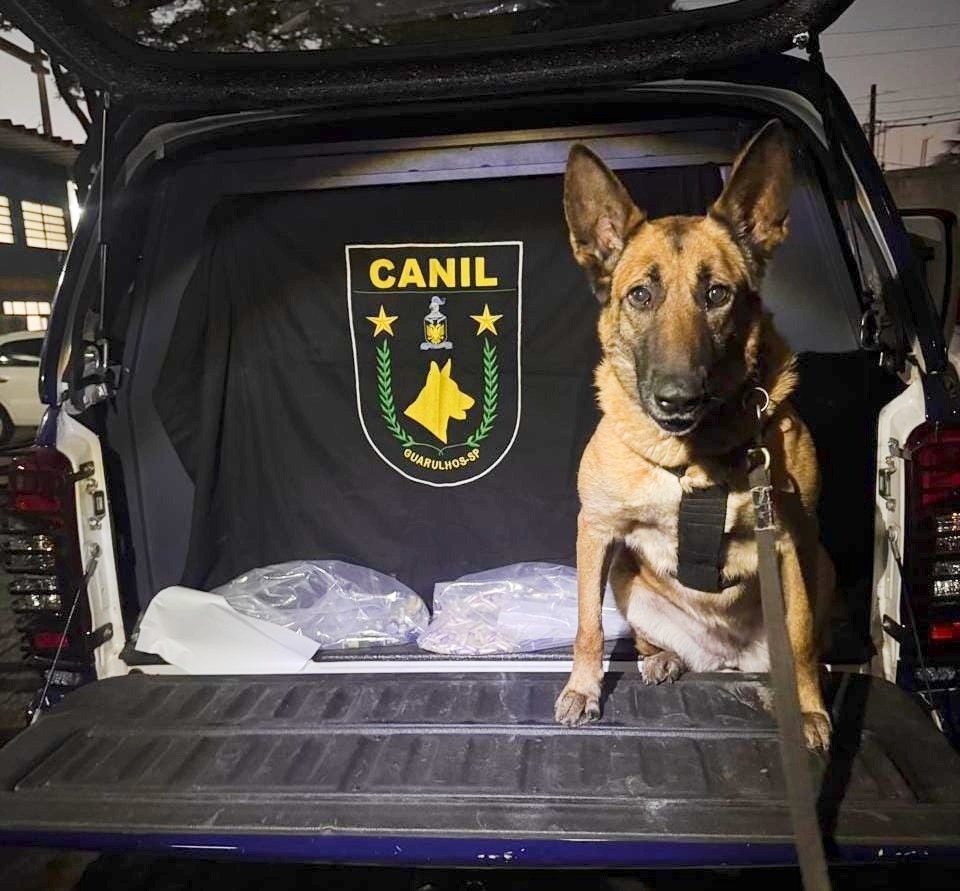 GCM apreende 4,2 kg de drogas no combate ao tráfico na cidade