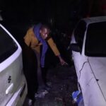 Polícia do Quênia investiga envenenamento de elefantes em parque nacional