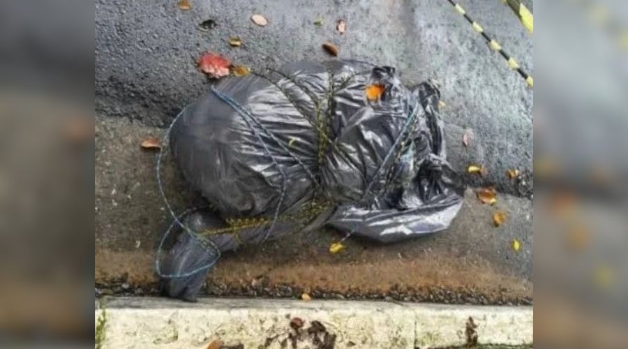 Corpos em sacos em SP: polícia afasta serial killer Corpos em sacos em SP: polícia afasta serial killer