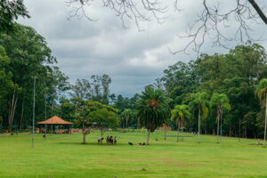 Parque do Carmo completa 50 anos com festa na Zona Leste