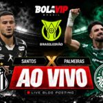 Santos e Palmeiras empatam e liderança fica com o Flamengo