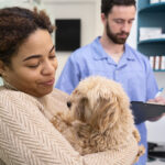 Clínica veterinária da Unicid abre na Zona Leste de SP