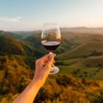 Consumo de vinho no Brasil recorde: mercado chega a R$ 21 bi