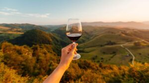 Consumo de vinho no Brasil recorde: mercado chega a R$ 21 bi